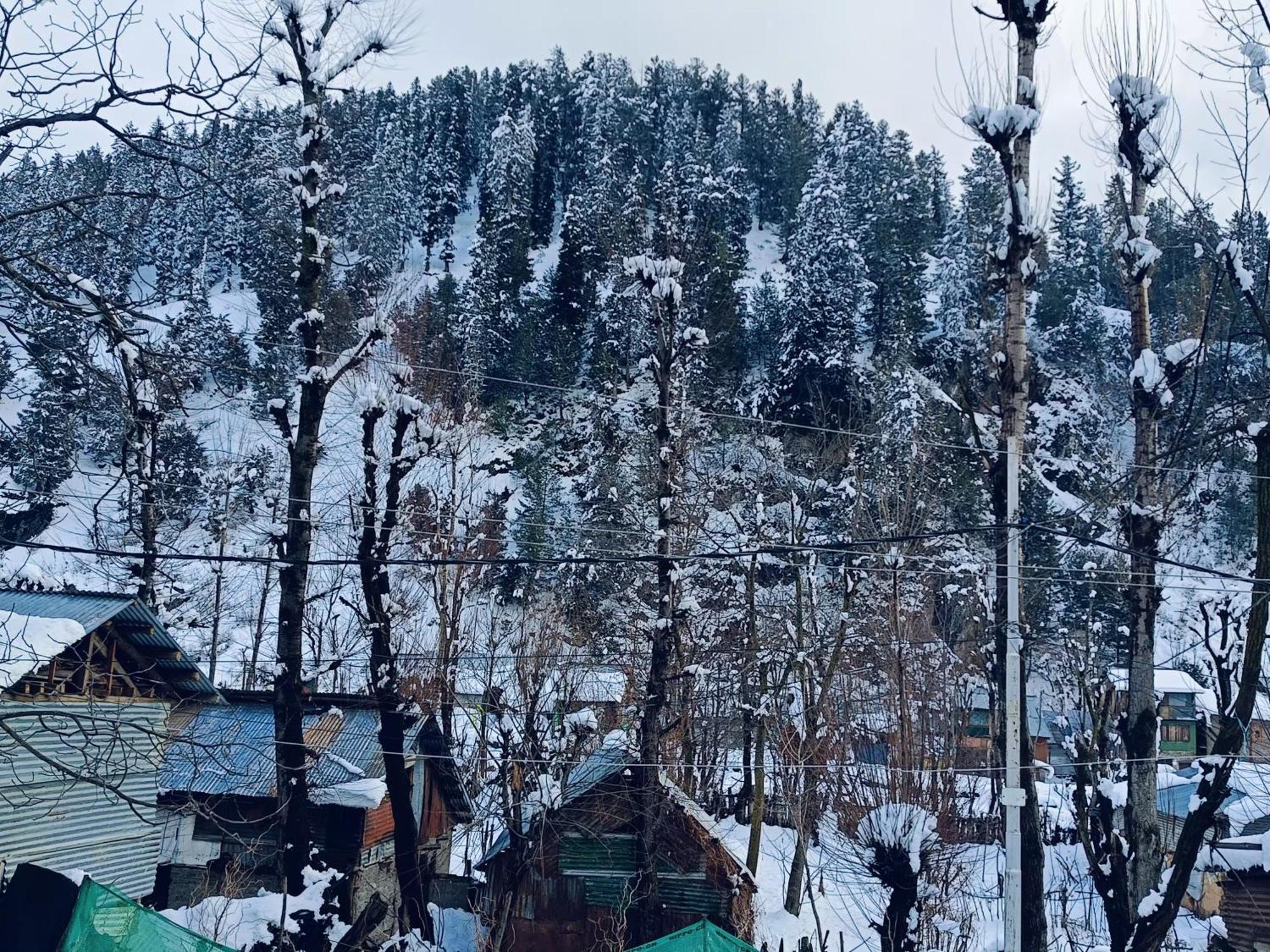 Mir Guest House Pahalgām Esterno foto